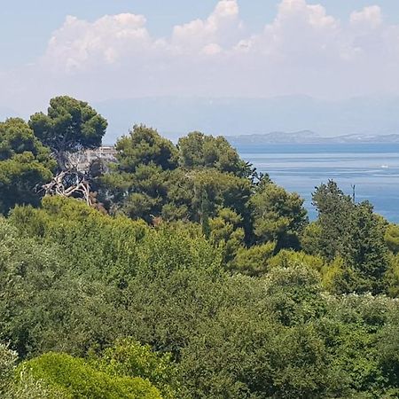 Corfu  Mon Repos Panorama 아파트 외부 사진